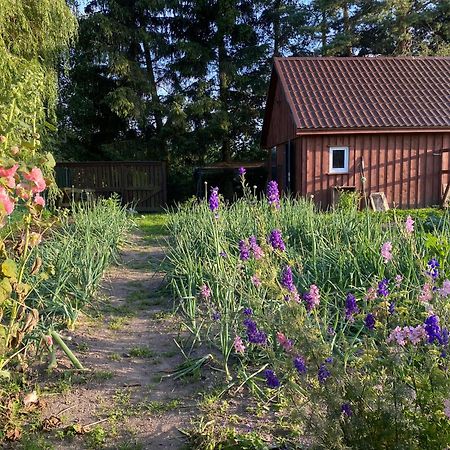 Agroturystyka Omelia Człuchów 외부 사진