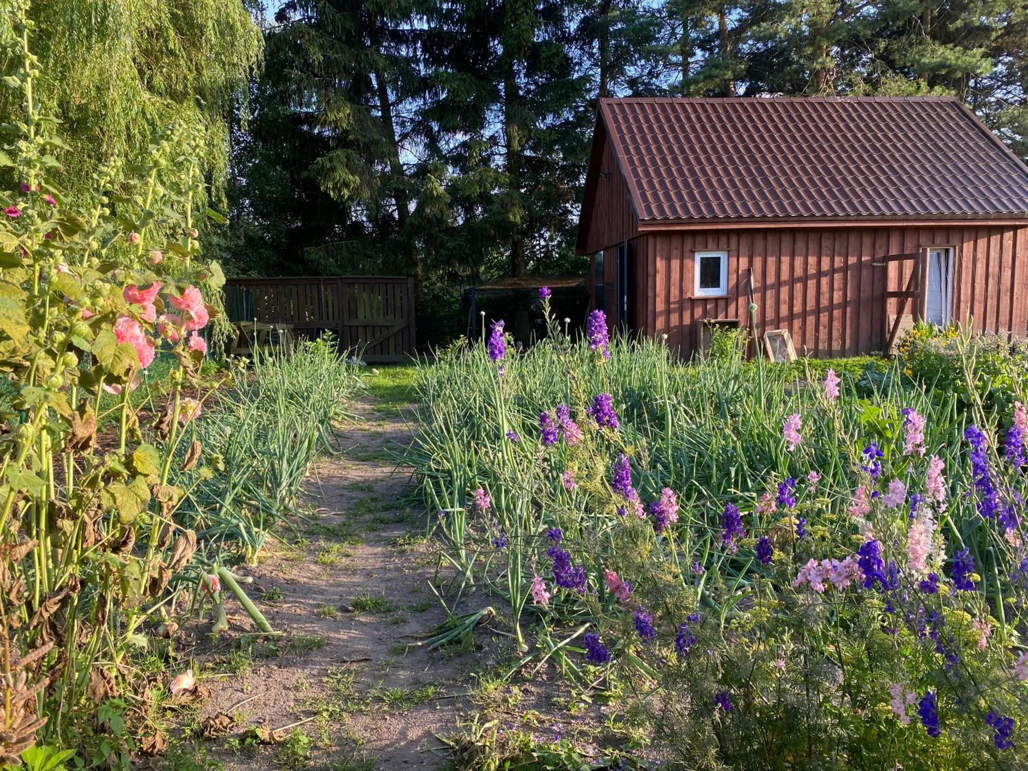 Agroturystyka Omelia Człuchów 외부 사진